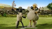 Shaun und Bitzer versuchen Pidsley zu überlisten und hissen die „weiße Fahne“.