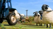 Shaun, das Schaf - Das Pokalschwein - Auf der Bauernmesse gewinnt der Nachbar des Farmers alle Preise. Schlecht gelaunt fährt der Farmer nach Hause. Noch nicht einmal sein Schwein hat einen Preis bekommen. Oder doch? Die Hoftiere staunen nicht schlecht, als das Schwein plötzlich einen Pokal hervorzieht. Jubel bricht aus und das Pokalschwein lässt sich ausgiebig feiern. Doch ein Zeitungsartikel lässt Shaun misstrauisch werden. Foto: ORF/AARDMAN.