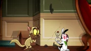 v.li.: Chester, Bunnicula