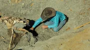 Clayton touching Triceratops bones