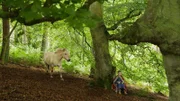 Während einer Pause im Wald nähert sich Gudrun (Sophie Ryder) ein freilaufendes Fjordpferd.