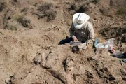 Aaron Bolan gathering up bones