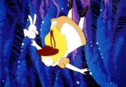 Alice und Benny Bunny sind dem großen weißen Kaninchen ins Kaninchenloch gefolgt. Langsam schweben sie immer tiefer nach unten. Noch weiß Alice nicht, dass sie sich auf dem etwas ungewöhnlichen Weg in ein Wunderland voll Überraschungen und Abenteuer befindet.