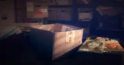 Eine Box mit verstörendem Inhalt: Bilder der Toten.