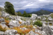 Kantabrische Landschaft. Die Verwendung des sendungsbezogenen Materials ist nur mit dem Hinweis und Verlinkung auf RTL+ gestattet.