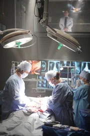 (left) Jesse Spencer as Chase, (top) Peter Jacobson as Taub