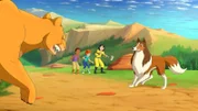 4 Lassie - Der Berglöwe 1