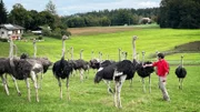 Marcus with his ostriches in the Bavarian Oberland.