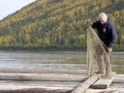 Stan Zuray untangles a rope net needed to build the fish crib raft that will transport his silver salmon catch 30 miles down river to Tanana.