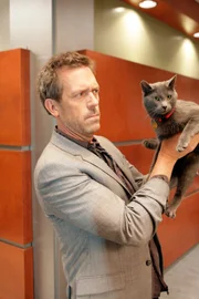 Kann eine Katze den Tod eines Menschen vorhersehen? Eine junge Frau behauptet dies und versetzt House (Hugh Laurie) damit in Rage.