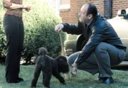 James Gandolfini (Tony Soprano)