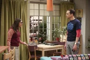 Amy erkennt, dass die Hochzeit für Sheldon in einem Desaster enden könnte, weil seine Mutter nicht zu der Trauung erscheinen will ...