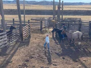 Shana Baisch and Clayton Phipps taking the horses to the dig site.