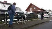 Doggen-Mix Lucky bei Familie Gutzeit