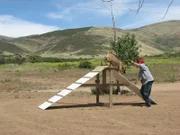 Tia trains Cody to walk over the A Frame.