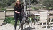 Gwato lunges at Tia.