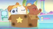 v.li.: Baby Panda, Baby Ice Bear, Baby Grizz.