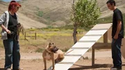 Tia Maria Torres talks with her adopted son Kinani about dog training before having Johnny Danger, a rescue pit bull, check out the a-frame that Kinani built as part of an agility training and confidence building exercise at Torres' Villalobos Rescue Center.