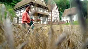 Arbeit wie früher: Clarissa hilft bei der Getreideernte mit der Sense.