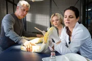 Tierärztin Dr. Mertens (Elisabeth Lanz, r.) untersucht den Python, der anscheinend im Zoo ausgesetzt wurde. Zoodirektor Dr. Blum (Ralph Herforth, l.) und Assistentin Annett (Anna Bertheau, M.) schauen fasziniert zu.