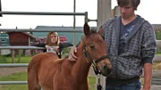 Ty (Graham Wardle) ist wenig begeistert von Mallorys (Jessica Amlee) Erziehungsratschlägen.