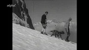 Die erfolgreichen Kletterer werden am Fuß der Felsen vom Hund Rei sehnsüchtig erwartet.