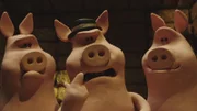 Die Schweine überfallen die Schafe und vertreiben sie von den Heuballen.