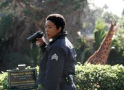 Angela Bassett  (Athena Grant)