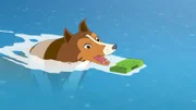 7 Lassie - Der Biss der Spinne 4; © ZDF/Classic Media/DC Entertainment/Superprod - Honorarfreie Verwendung gemäß AGB im redaktionellen Zusammenhang mit genannter Sendung bei Nennung "Bild: ZDF/Classic Media/DC Entertainment/Superprod". Andere Verwendung nur nach Absprache. KiKA Marketing & Kommunikation - bildredaktion@kika.de Telefon: +49.361.218-1826