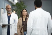 Richard Webber (James Pickens jr., l.); Dr. Maggie Pierce (Kelly McCreary, r.)