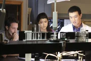 Ermitteln in einem neuen Fall: Steve (Alex O'Loughlin, l.) Kono (Grace Park, M.) und Charlie Fong (Brian Yang, r.) ...