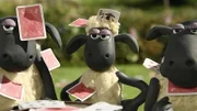 Ein Kartenspiel macht Shaun und den anderen Schafen viel Spaß. Ob das mit rechten Dingen zugeht?