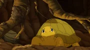 Schildkröte Törtel ist eingesperrt im unterirdischen Bau von Dachs Kalle und das, kurz nachdem dort eine Schatzkiste aufgetaucht ist.