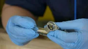 CBP Agriculture Specialists examine an insect found crawling on animal trophies. (National Geographic/Lucky 8 TV)