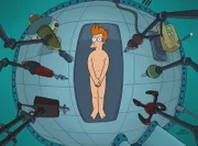 Fry