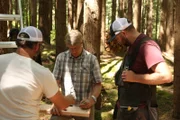 During the build.