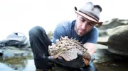 Coyote Peterson