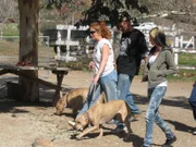 Tia brings Otis and Trejo out for a training session