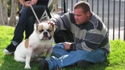 Tania and Billy take Creature to the dog park.