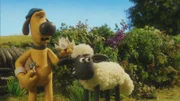 Shaun und Bitzer wundern sich über den Farmer. Nach seinem Urlaub ist er wie ausgewechselt.