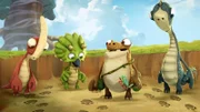 Rocky, Tiny, Mazu und Bill (v.l.n.r.)