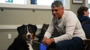 Mylow brought into clinic by owner with ear infection.