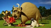 Den Stier hatte Bitzer eigentlich nicht zum Picknick eingeladen.