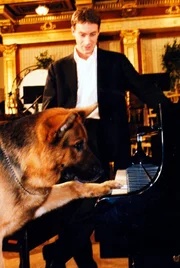 Nachdem Kommissar Brandtner (Gedeon Burkhard, r.) endlich Maximilians Vater gefunden hat, interessiert sich Rex doch sehr für das Klavier im berühmtesten Konzertsaal Wiens, dem "Wiener Musikverein".