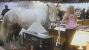 as seen in Hardcore Pawn