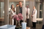 Der Zustand der Patientin wird immer kritischer und noch immer haben (h.v.l.) Dreizehn (Olivia Wilde), Dr. Chase (Jesse Spencer), Dr. Foreman (Omar Epps) und Dr. Taub (Peter Jacobson) keine Ahnung, an welcher Erkrankung Julia leidet. Nun ist House' (Hugh Laurie, vorne) Genialität gefordert.