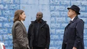 l-r: Neville Townsend (Reg Rogers), Dembe Zuma (Hisham Tawfiq), Raymond 'Red' Reddington (James Spader)