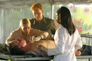Emily Procter, David Caruso, Khandi Alexander