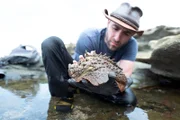 Stone fish presentation BTS
