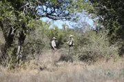 Wardens Jake Scott and Kegan Gould investigating property.